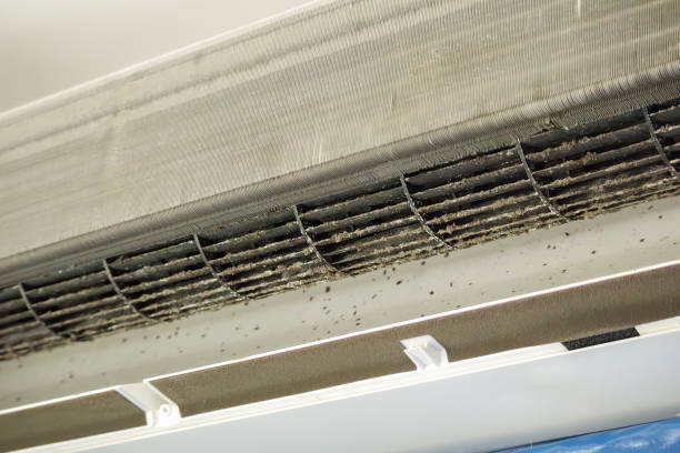 Best Best Air Duct Cleaning Near Me  in Agency Village, SD